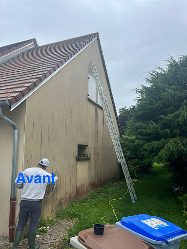 Nettoyage de façades (avant)